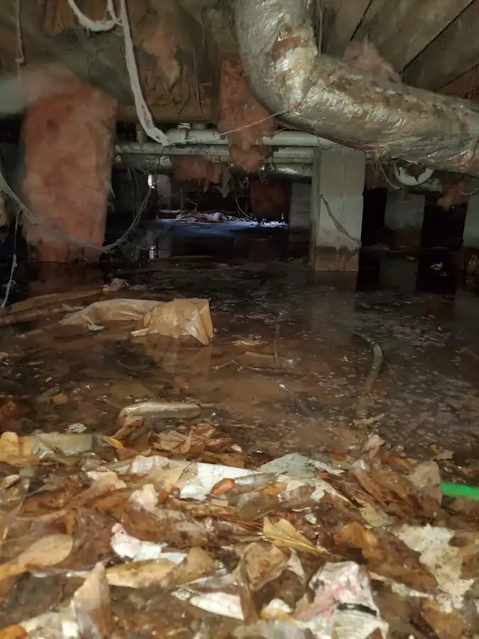 Crawl space flood assessment for Commercial Water Damage Restoration in Orleans
